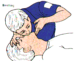 Lámpara portátil reforzada, especial para el uso en talleres.