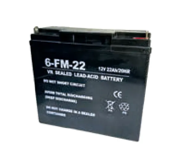 BOOSTER STARTER TRUCK ARRANCADOR 12V - REF. 3612 - Imagen 2